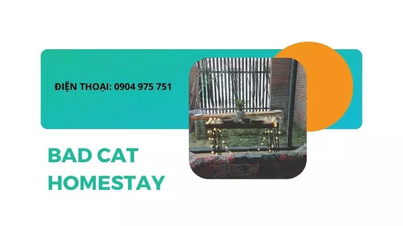 bad-cat-homestay-ninh-thuan-10