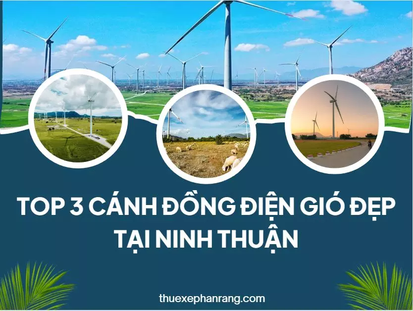 canh-dong-dien-quat-gio-ninh-thuan