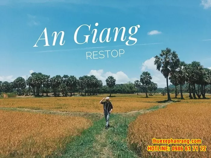 dat-thue-xe-oto-dua-don-tan-noi-phan-rang-ninh-thuan-di-an-giang-va-nguoc-lai-5