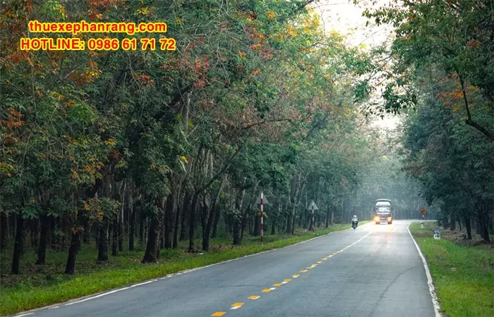 dat-thue-xe-oto-dua-don-tan-noi-phan-rang-ninh-thuan-di-binh-phuoc-va-nguoc-lai-6