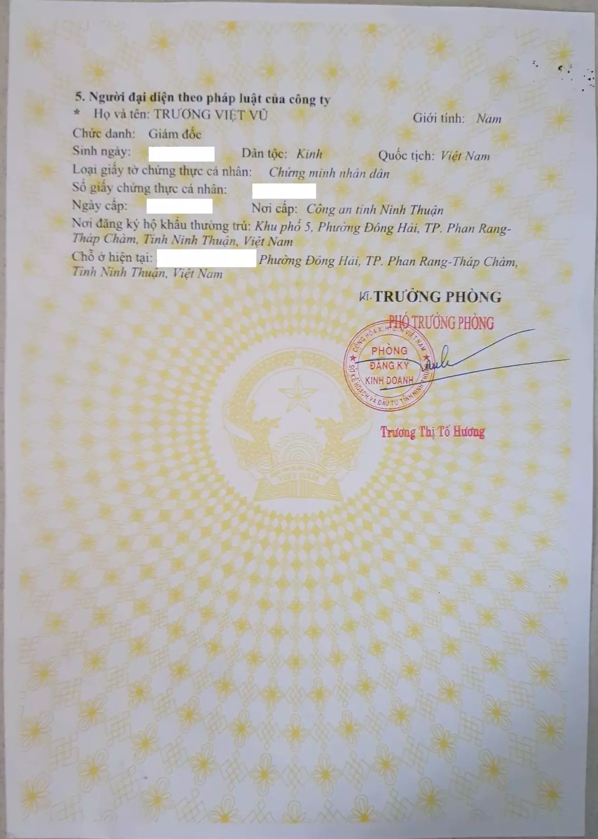 giay-dang-ky-kinh-doanh-cong-ty-tvn-group-1
