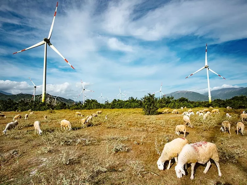 nha-may-dien-gio-trung-nam-thuan-bac-ninh-thuan-2