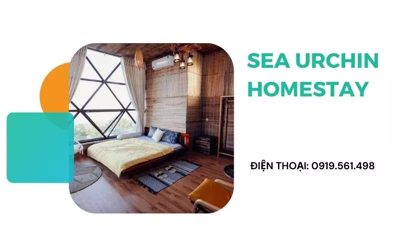 sea-urchin-homestay-ninh-thuan-11