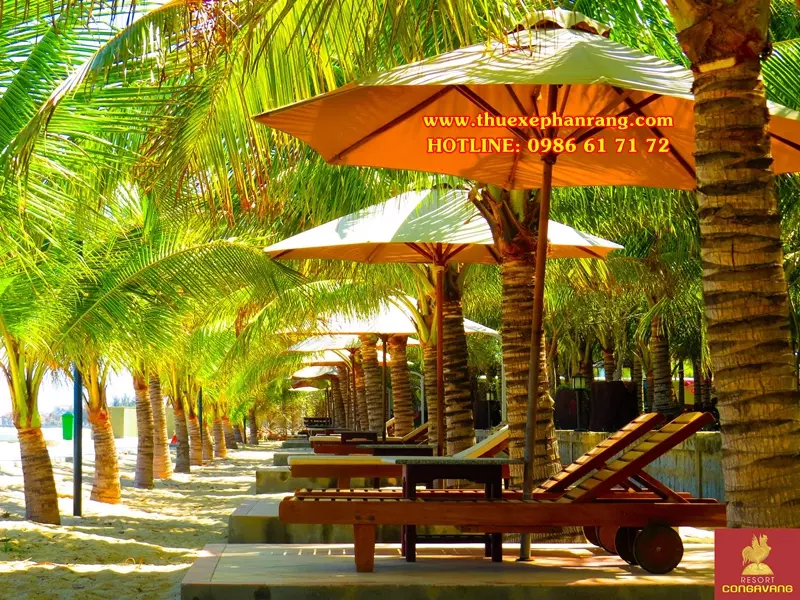 thue-xe-o-to-don-san-bay-cam-ranh-di-resort-con-ga-vang-gold-rooster-ninh-thuan-1