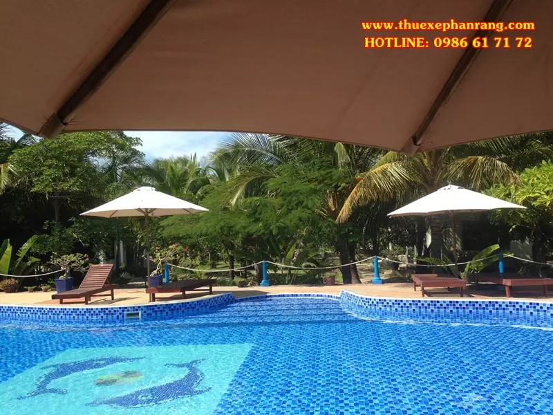 thue-xe-o-to-don-san-bay-cam-ranh-di-resort-con-ga-vang-gold-rooster-ninh-thuan-7