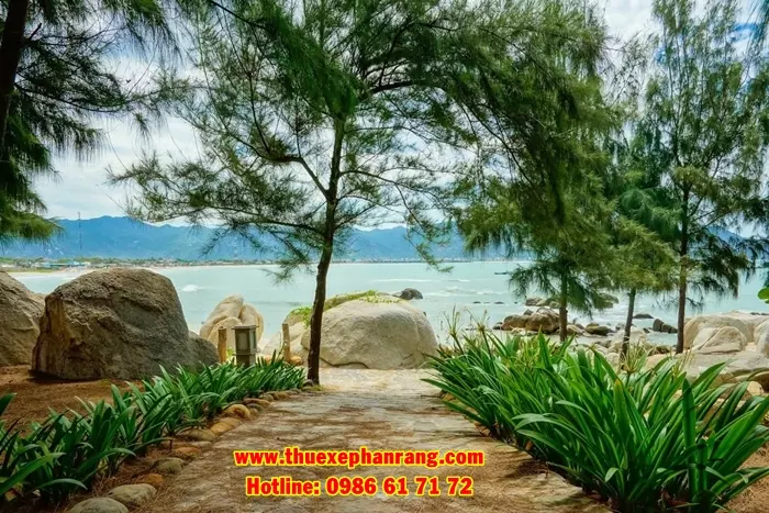thue-xe-o-to-don-san-bay-cam-ranh-di-resort-hon-co-ca-na-ninh-thuan-1
