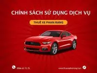 Các điều khoản khi sử dụng dịch vụ