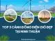 Cánh Đồng Điện Gió Ninh Thuận | Thuê xe du lịch Phan Rang